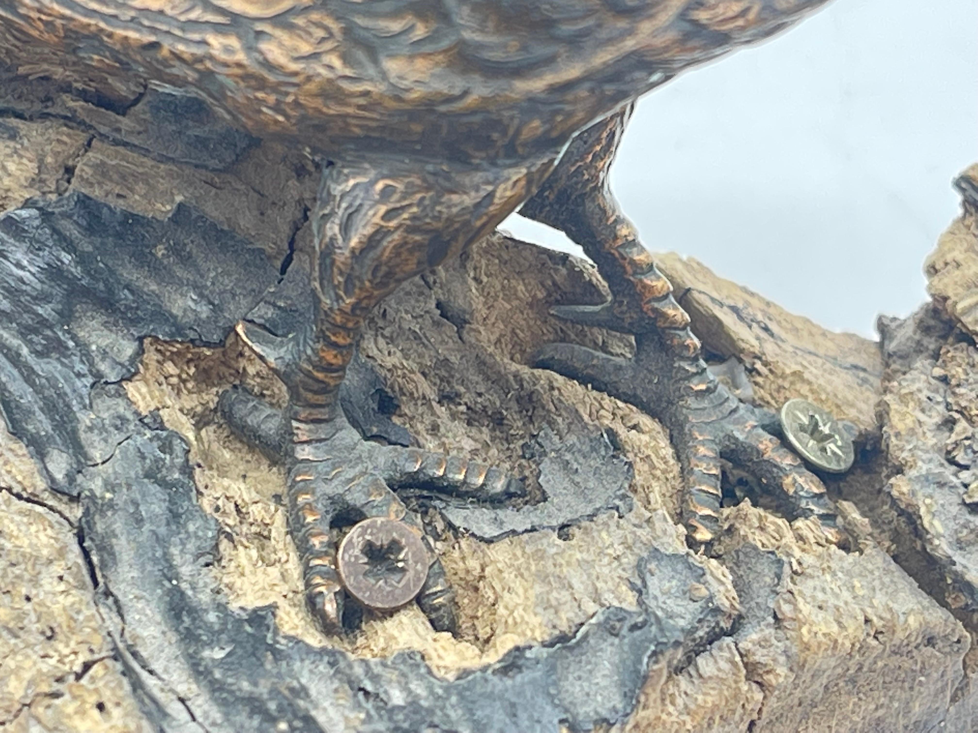 Antique Bird Bronze Sculpture / Figure sitting on wood pine- / fir wood For Sale 9