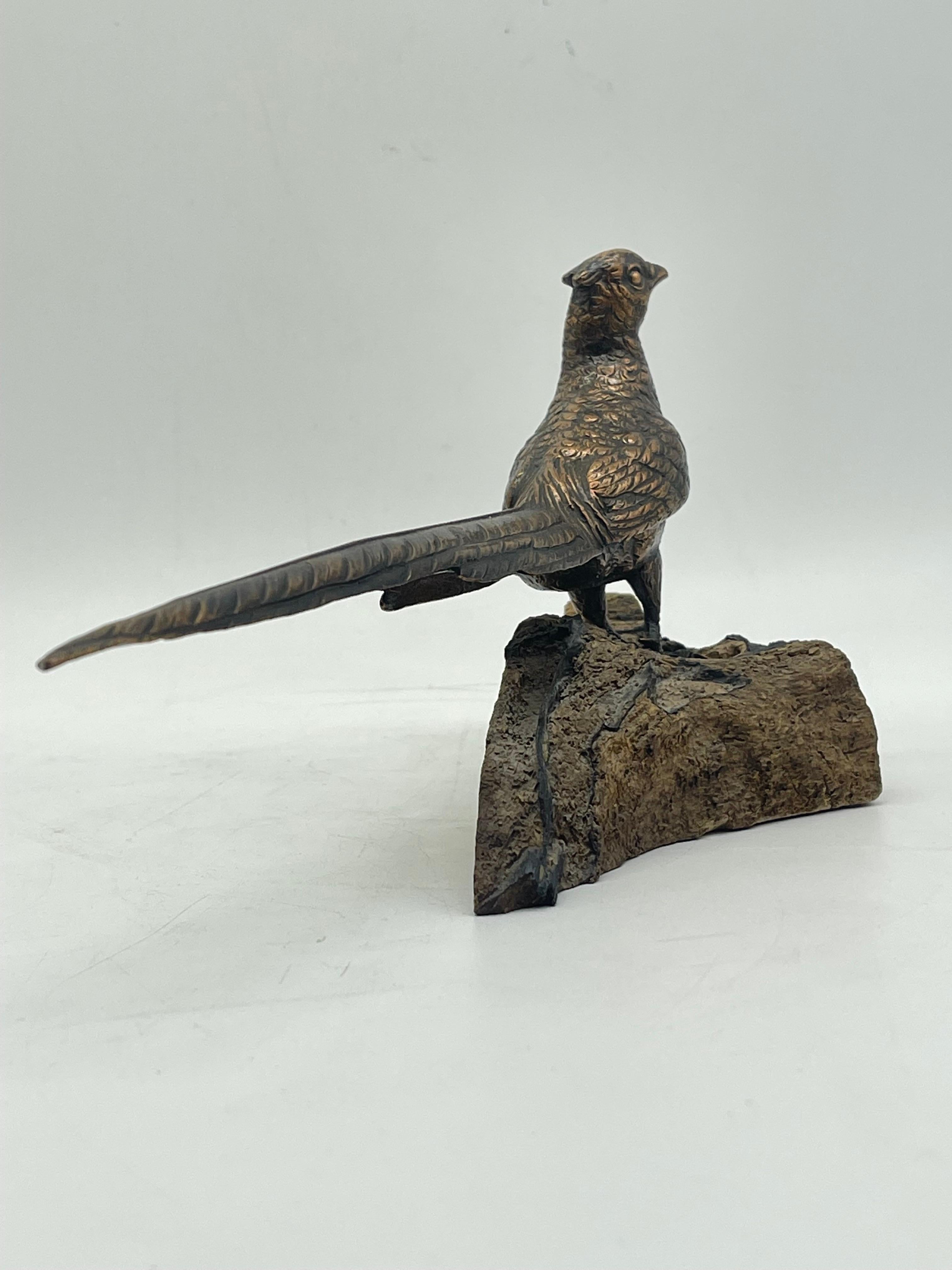 19th Century Antique Bird Bronze Sculpture / Figure sitting on wood pine- / fir wood For Sale