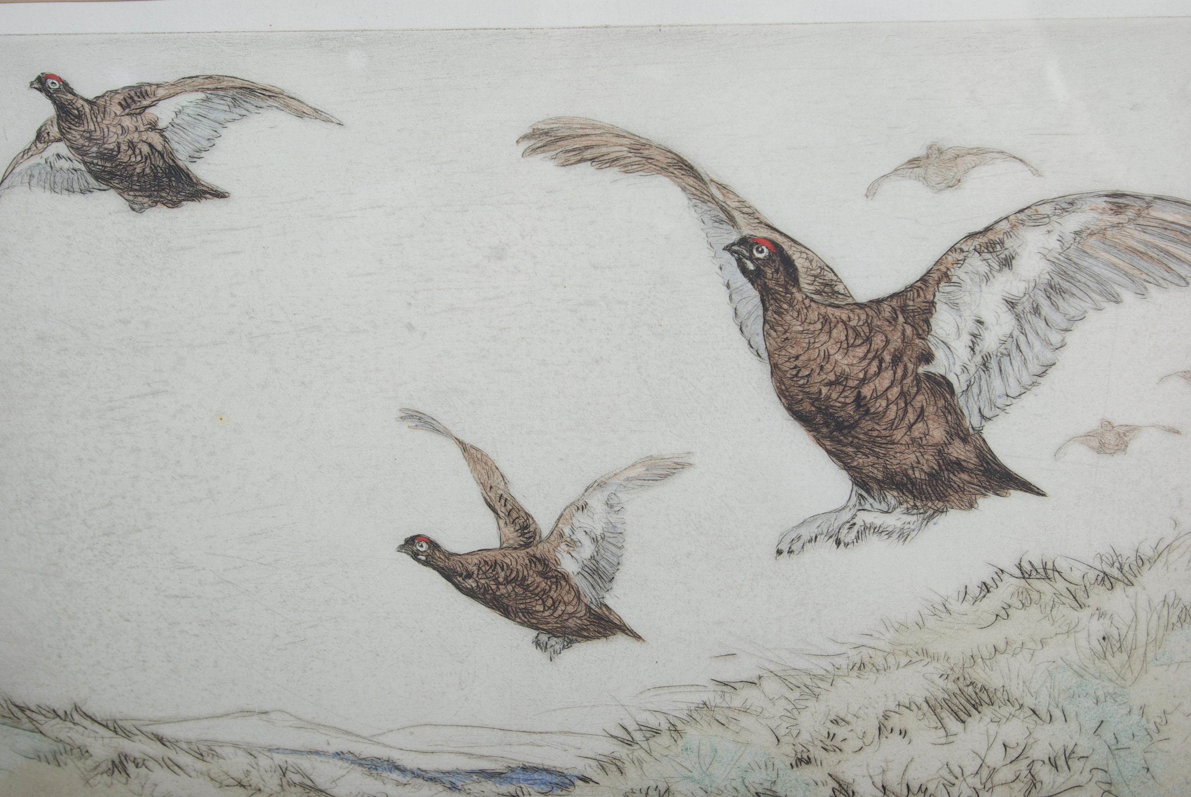 Antique bird etching, Vernon stokescolored Tinted Etching, Signed, Limited Edition, H010

Colored etching Grouse in Flight
Drawing is crisp and well observed
Original frame and glass
This is #15 of only 75 produced

$450

Measures: Frame: 19