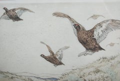 Antique Bird Etching, Vernon Stokes Colored Tinted Signed, Limited Ed., H010