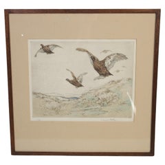 Antique Bird Etching, Vernon Stokes Colored Tinted Signed, Limited Ed., H010