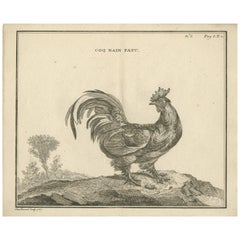 Antique Bird Print of a Rooster by Fessard, 1819