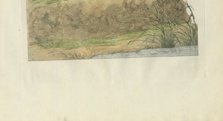 Male Eurasian Teal, Antique Dutch Bird Print by Sepp & Nozeman, 1789, view 7