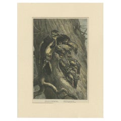 Antique Bird Print of Woodpeckers '1879'