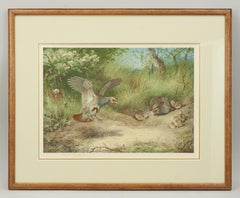 Antique Bird Print, Signed by Archibald Thorburn, Partridge, Spring