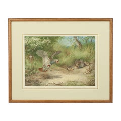 Grabado antiguo de aves, firmado por Archibald Thorburn, Perdiz, primavera
