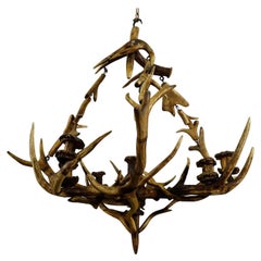 Antique Black Forest Antler Candle Luster, 1900