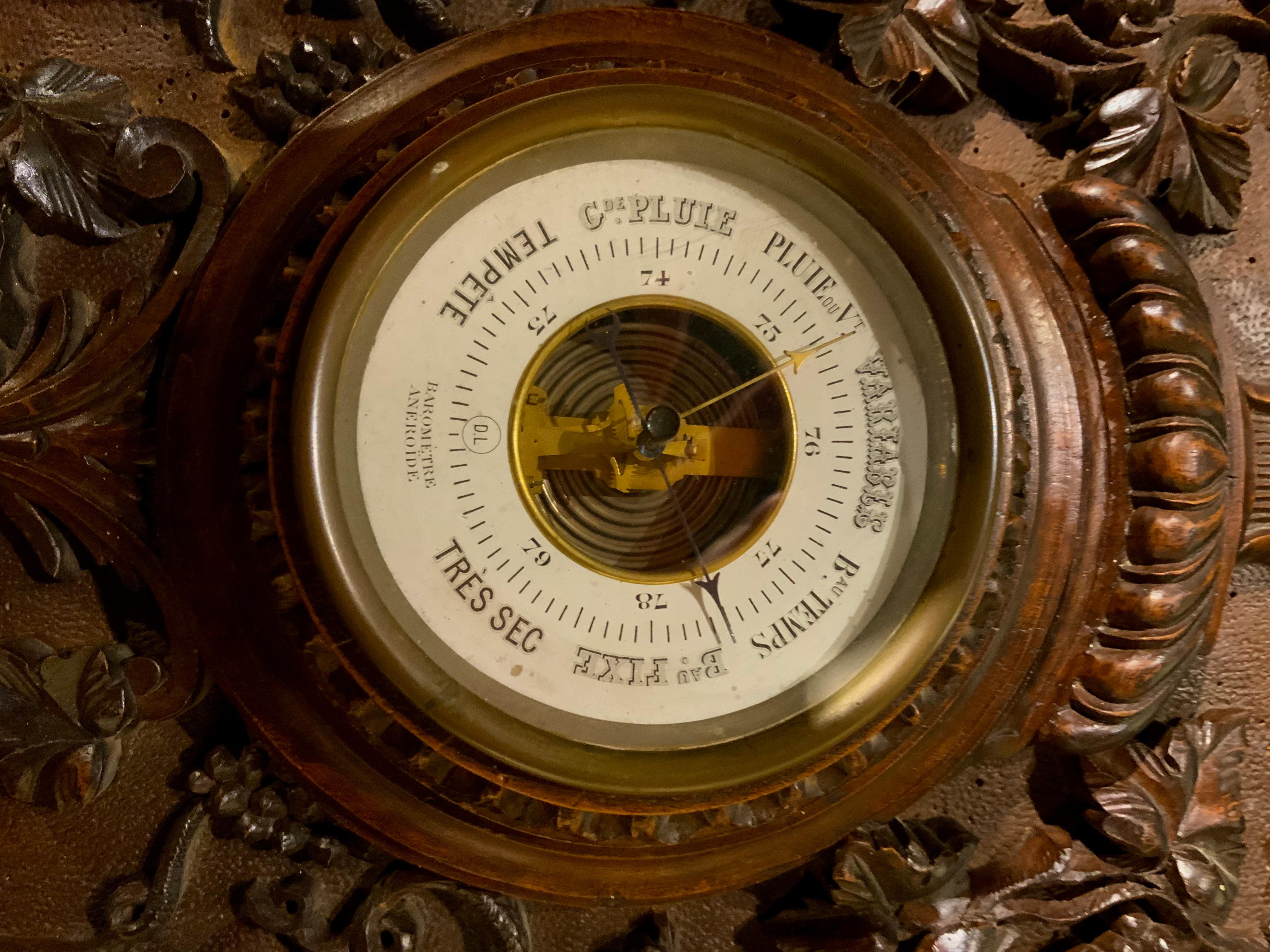 Antikes Black Forest Barometer mit summenden Vögeln und Trauben handgeschnitzt (Hartholz) im Angebot