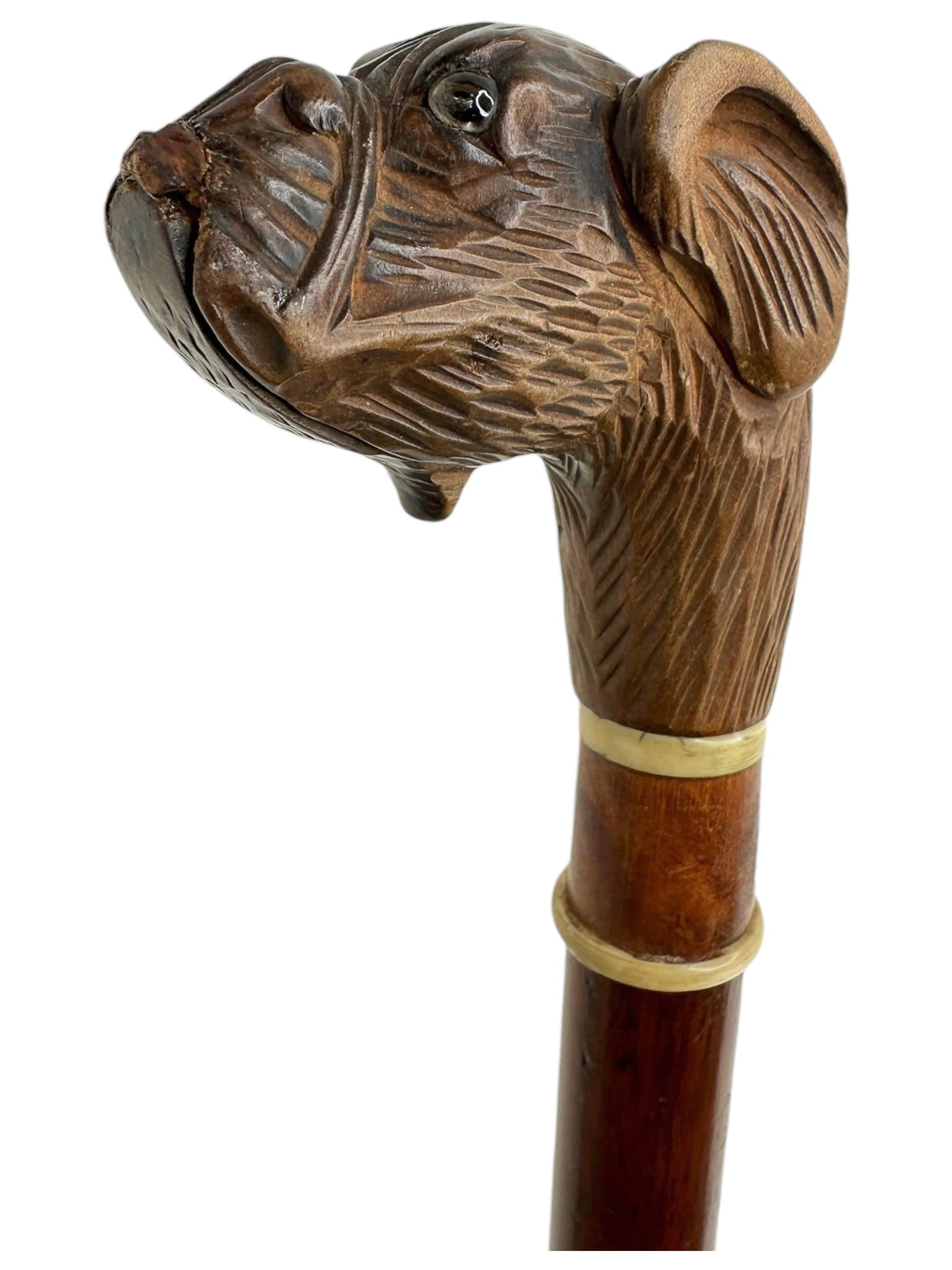 Antique Black Forest Brienz Wood Carved Dog Walking Stick, 1890s, Austria Vienna For Sale 2