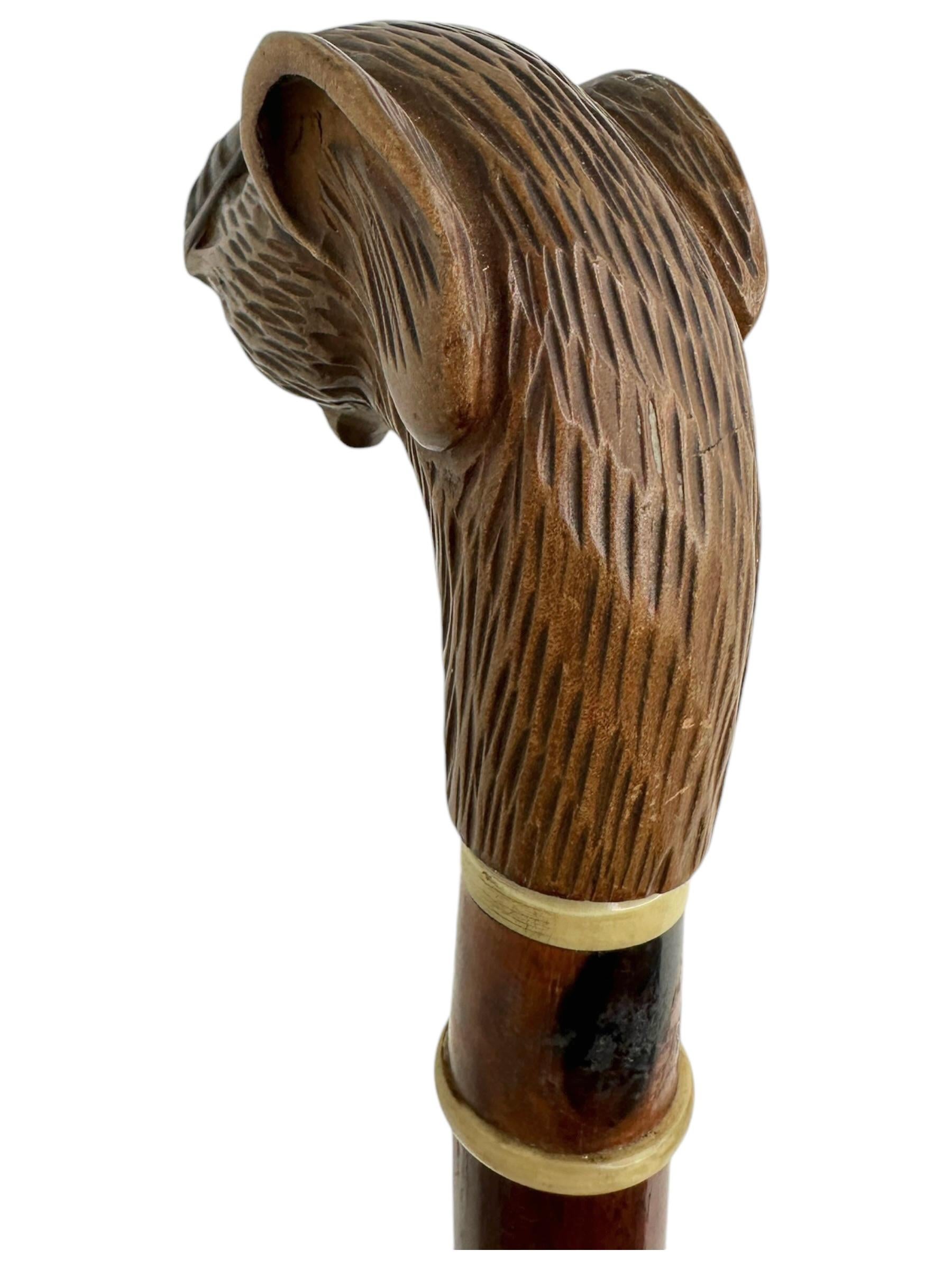Antique Black Forest Brienz Wood Carved Dog Walking Stick, 1890s, Austria Vienna For Sale 3