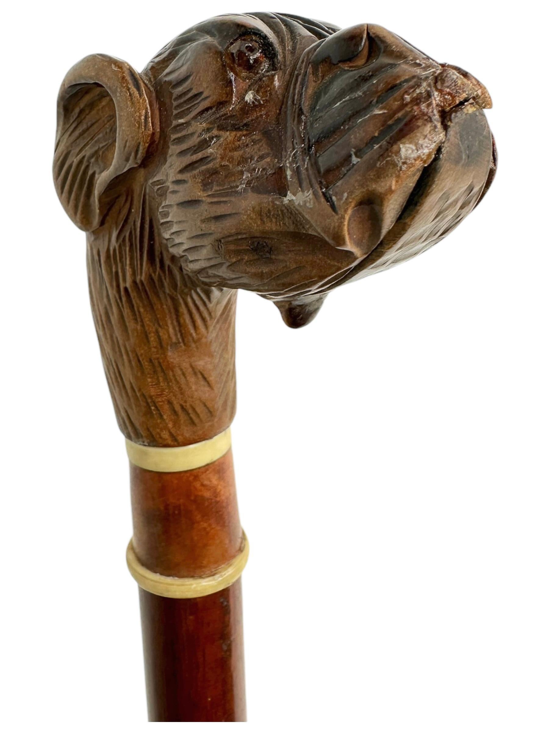 Antique Black Forest Brienz Wood Carved Dog Walking Stick, 1890s, Austria Vienna For Sale 5