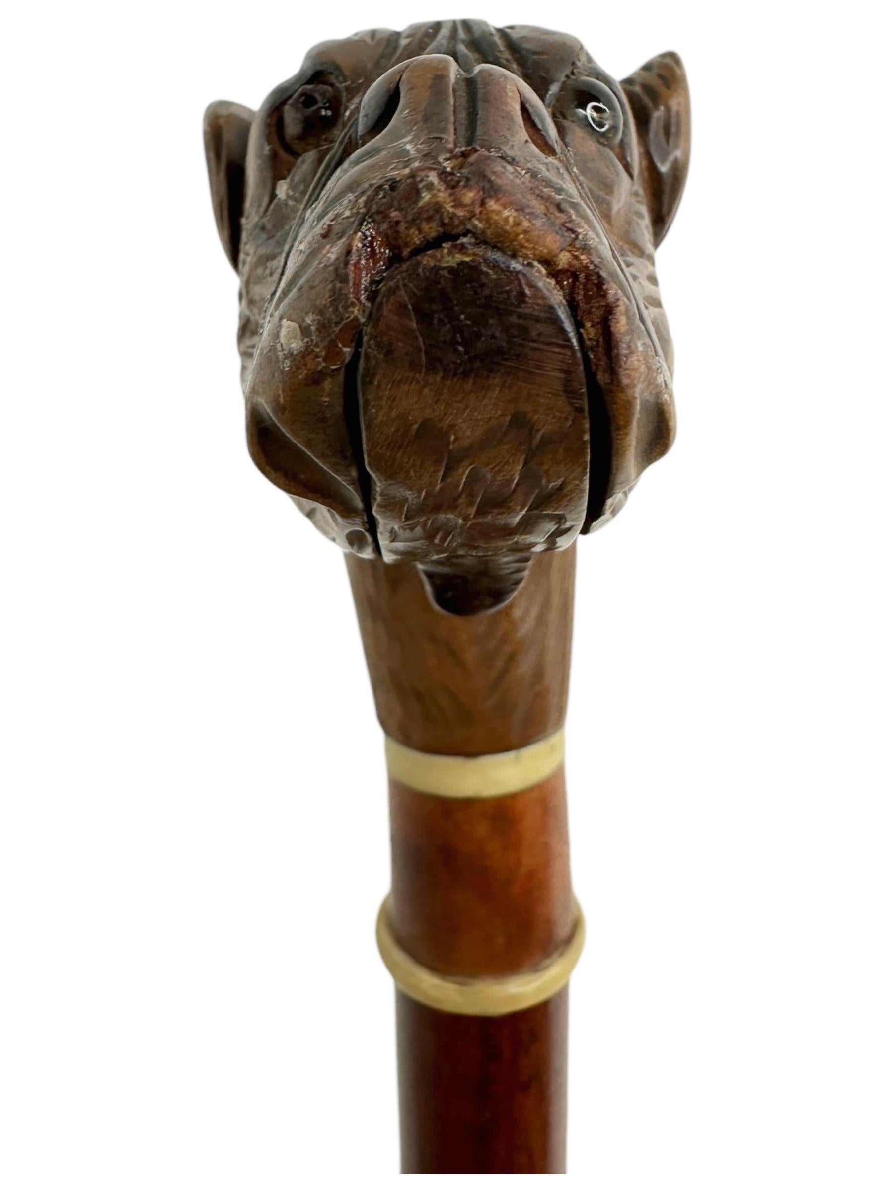Antique Black Forest Brienz Wood Carved Dog Walking Stick, 1890s, Austria Vienna For Sale 6