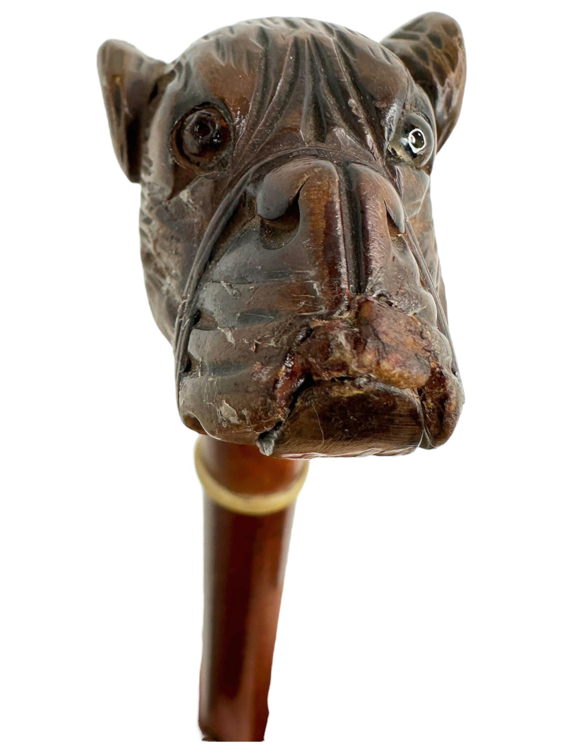 Antique Black Forest Brienz Wood Carved Dog Walking Stick, 1890s, Austria Vienna For Sale 7