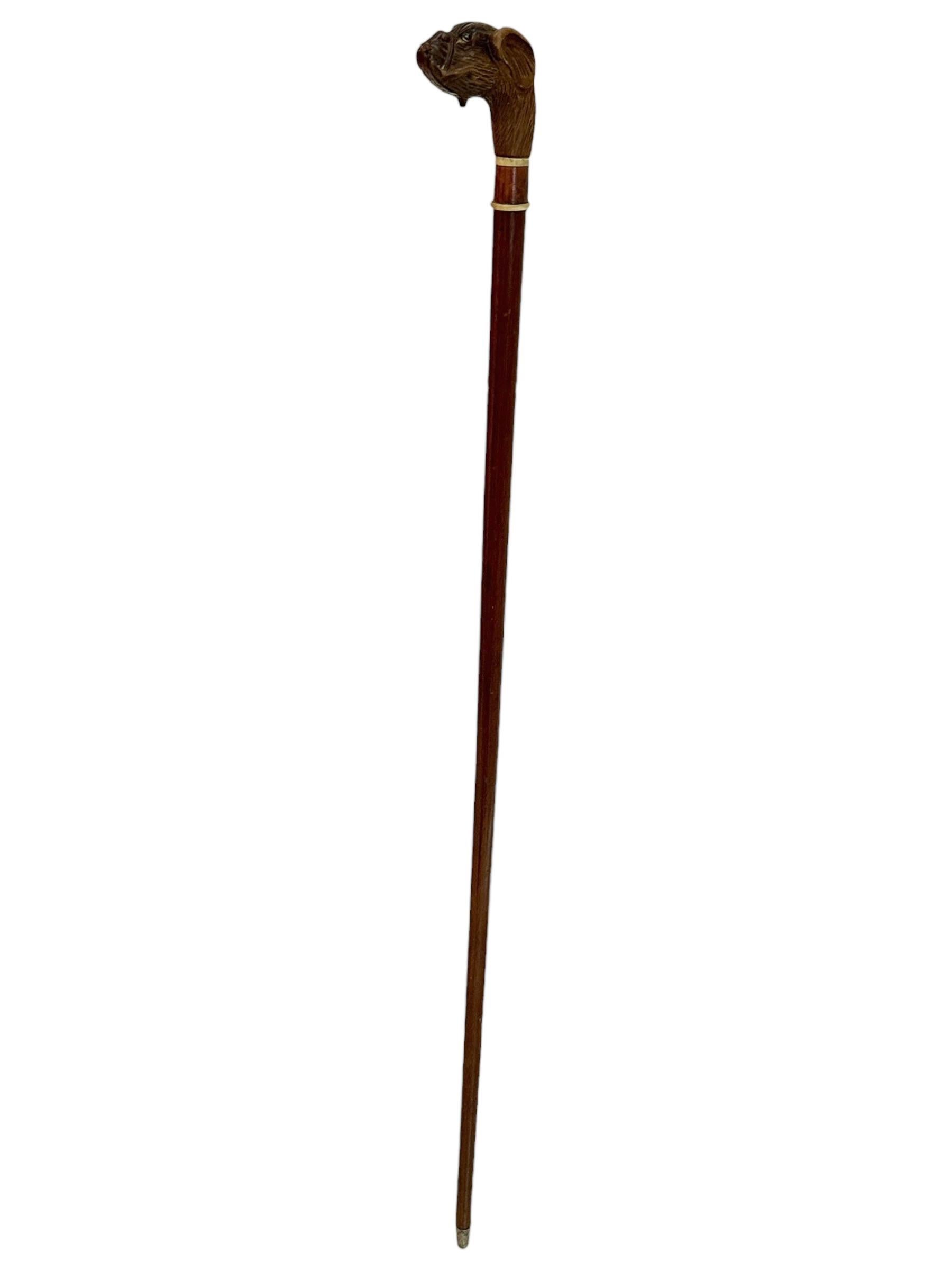 Austrian Antique Black Forest Brienz Wood Carved Dog Walking Stick, 1890s, Austria Vienna For Sale