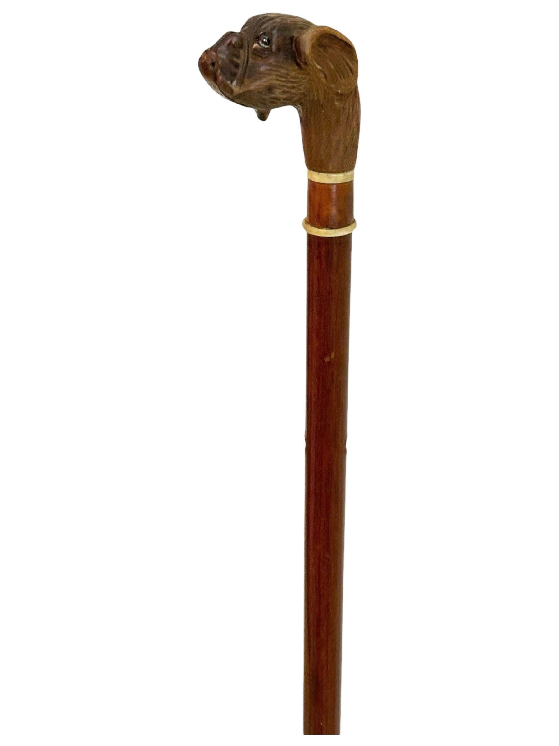 Antique Black Forest Brienz Wood Carved Dog Walking Stick, 1890s, Austria Vienna In Good Condition For Sale In Nuernberg, DE