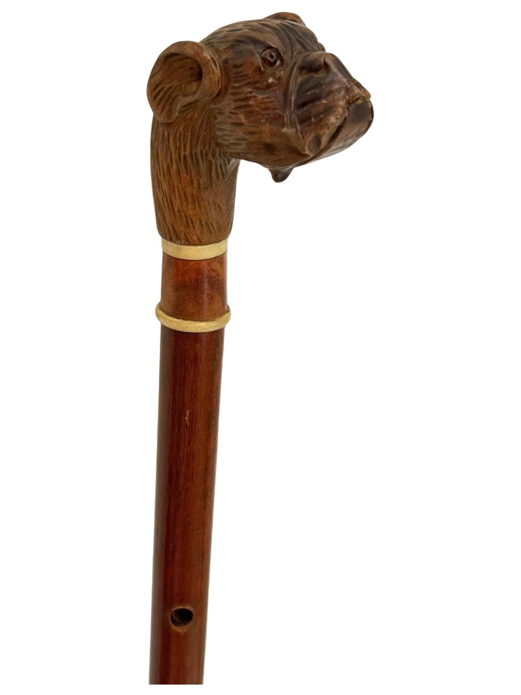 Glass Antique Black Forest Brienz Wood Carved Dog Walking Stick, 1890s, Austria Vienna For Sale