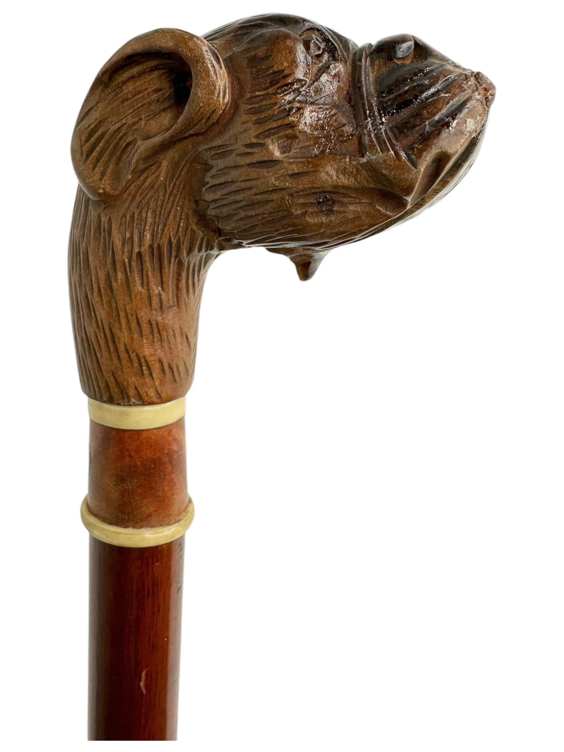 Antique Black Forest Brienz Wood Carved Dog Walking Stick, 1890s, Austria Vienna For Sale 1