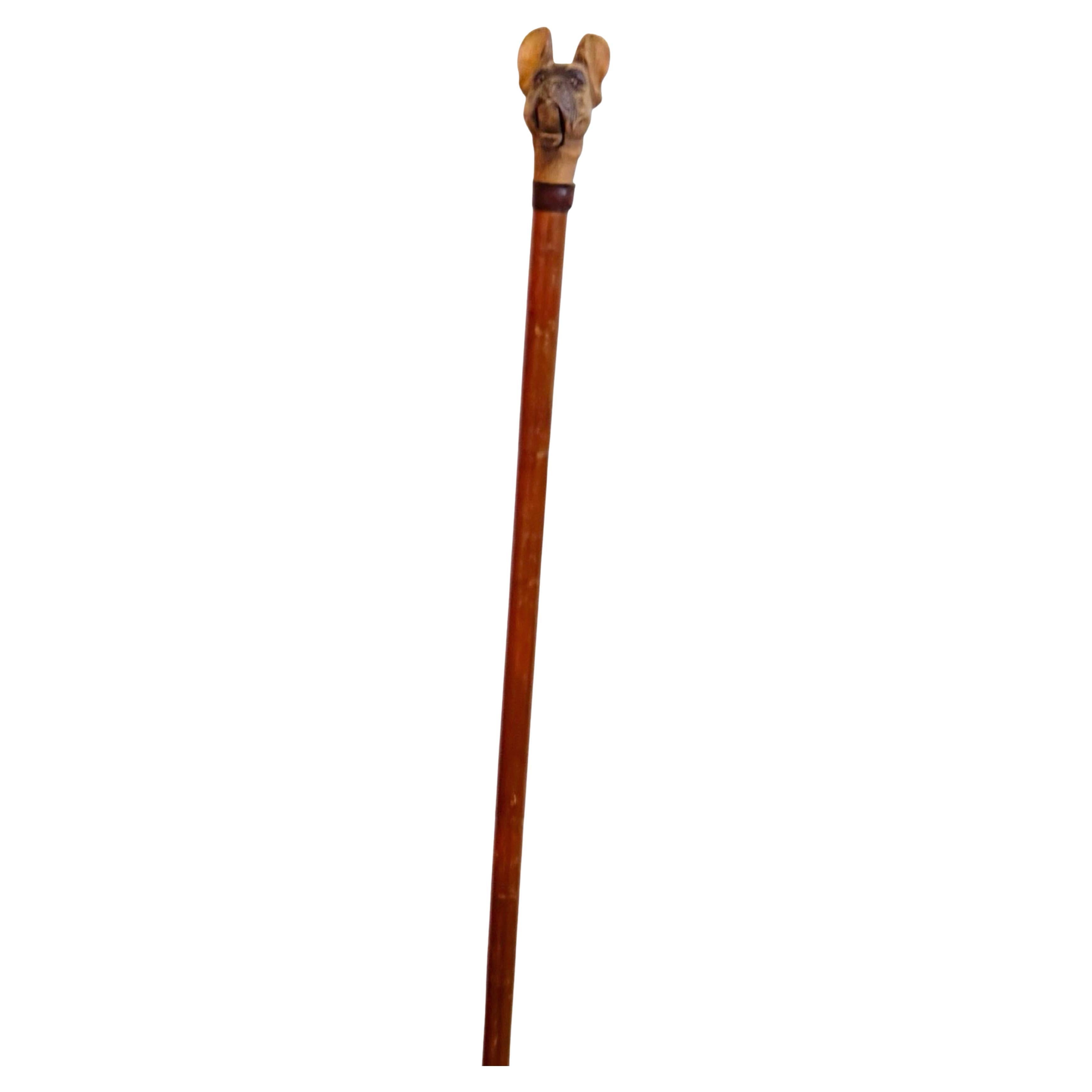 Ancienne canne pour chien en bois sculpté de Black Forest Brienz, années 1890, Autriche Vienne