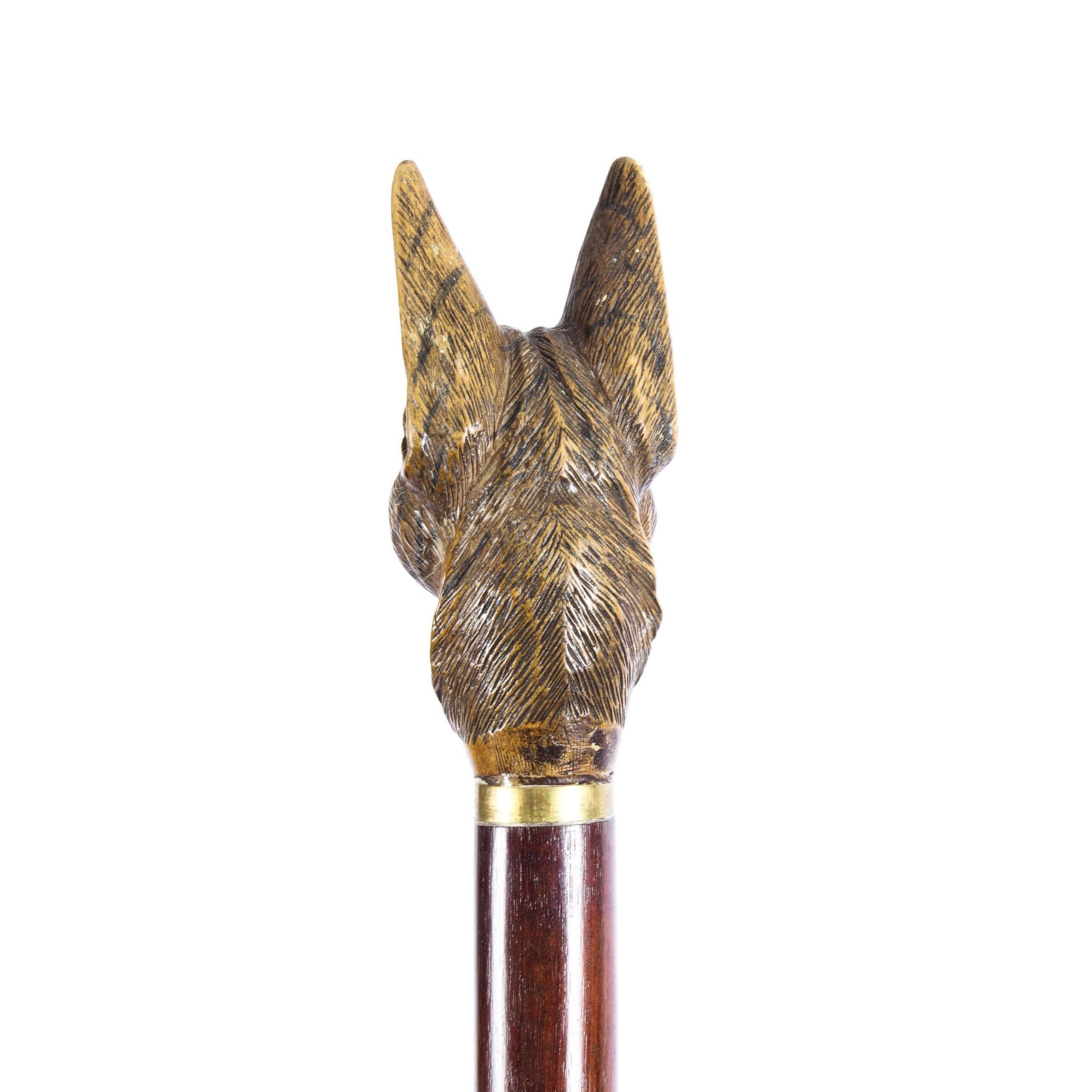 the forest head on stick