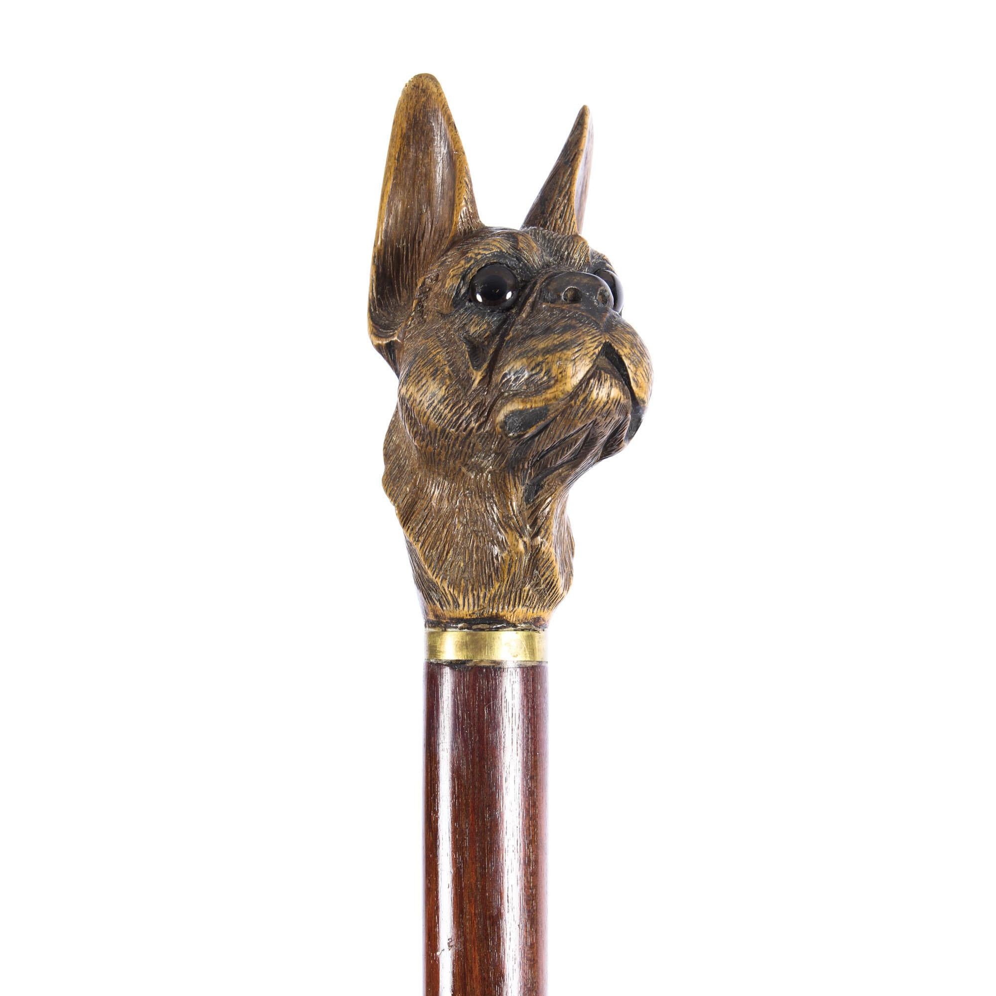 Mahogany Antique Black Forest Bulldog's Head Walking Stick Cane, 19th Century