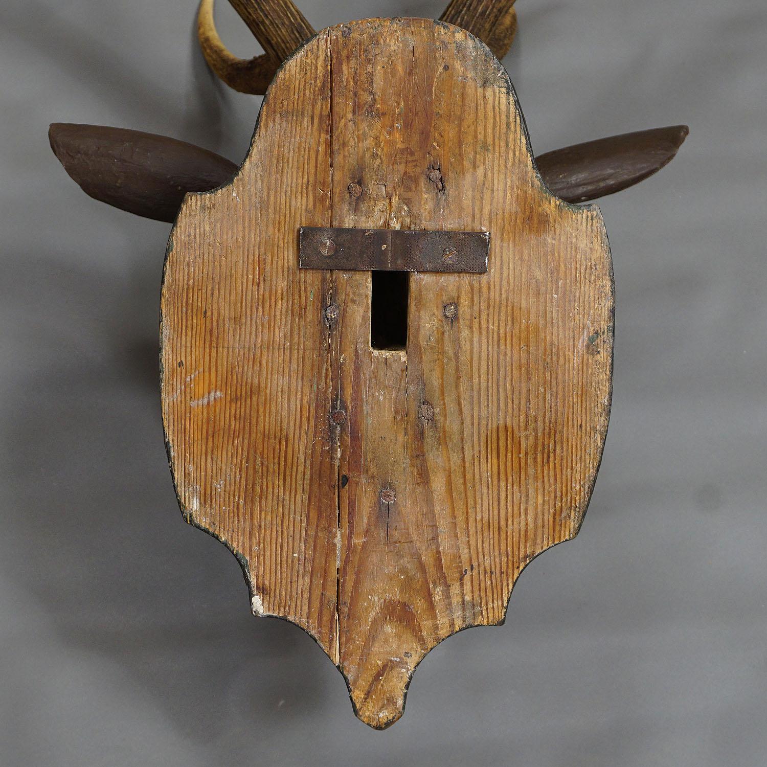 Antique Black Forest Carved Deer Head in Baroque Style, circa 1890 2