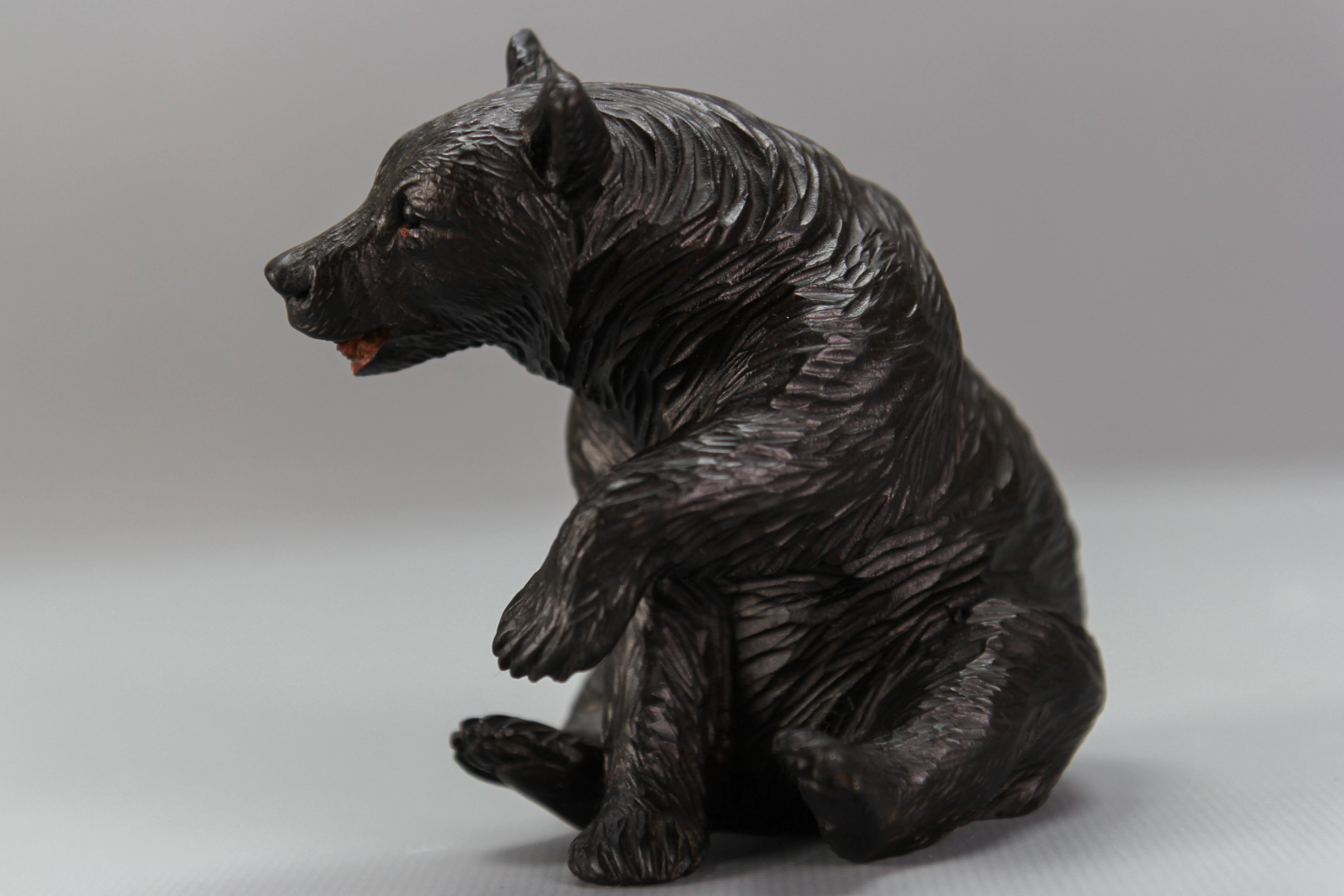 Antique Black Forest Carved Seated Bear Figure For Sale 7