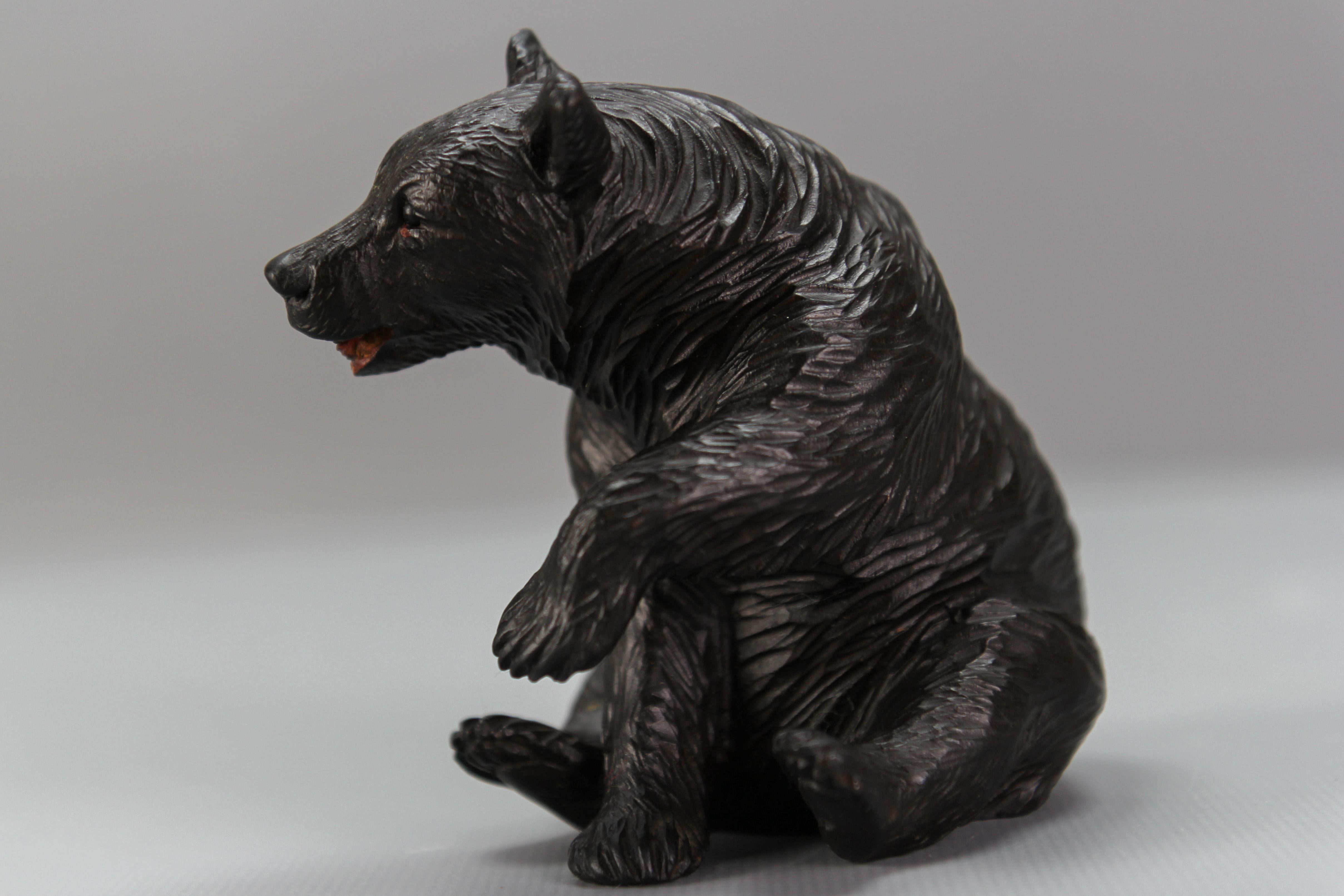 Antique Black Forest Carved Seated Bear Figure For Sale 8