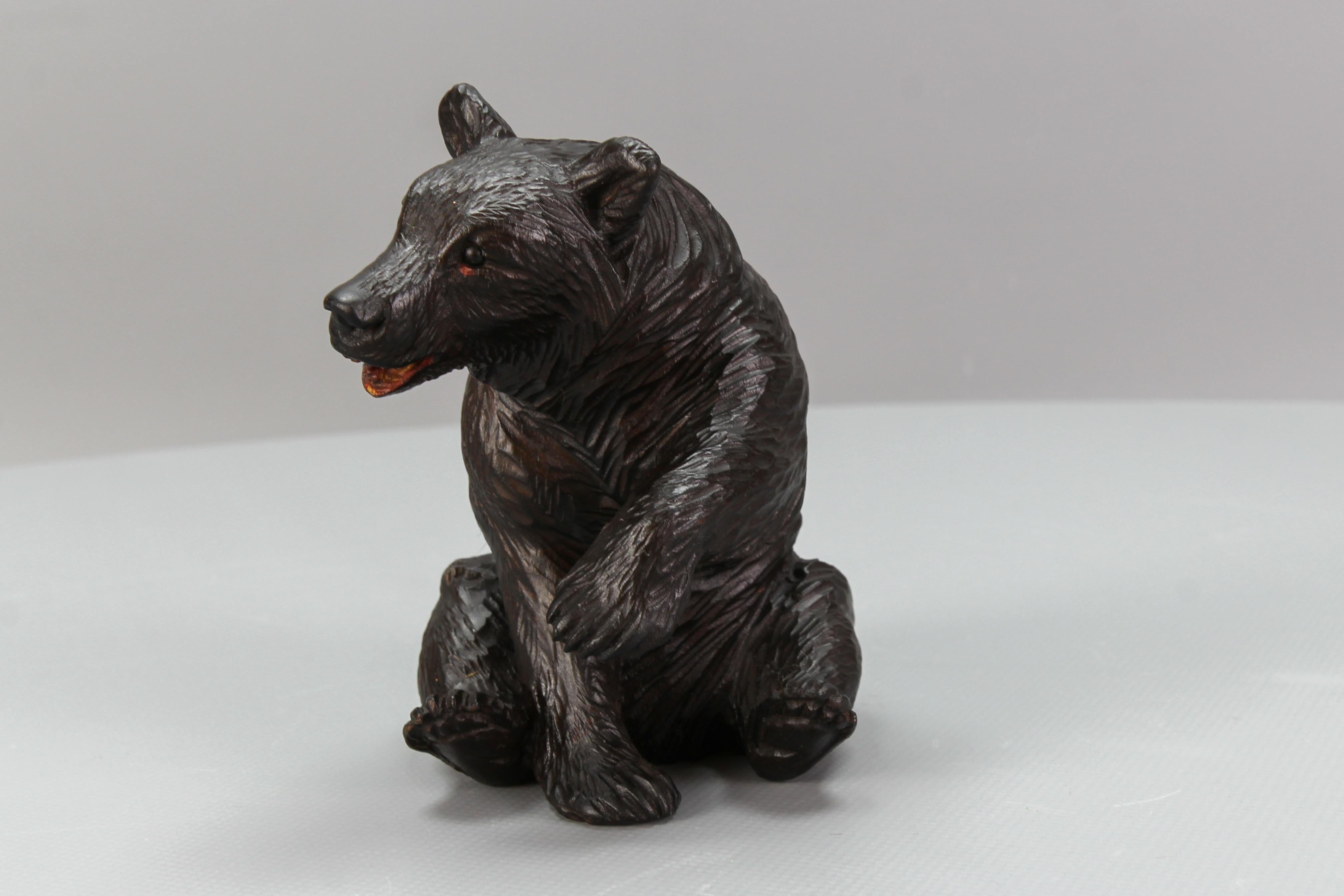 Antique Black Forest Carved Seated Bear Figure For Sale 10