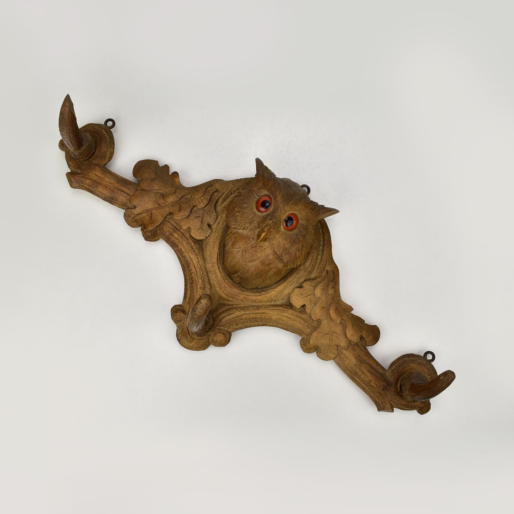 A finely carved antique coat rack with three hooks, decorated with oak leaves and an owl's head with glass eyes.