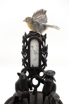 Antique Black Forest Carving under Dome, Anatomy of a Bird, French