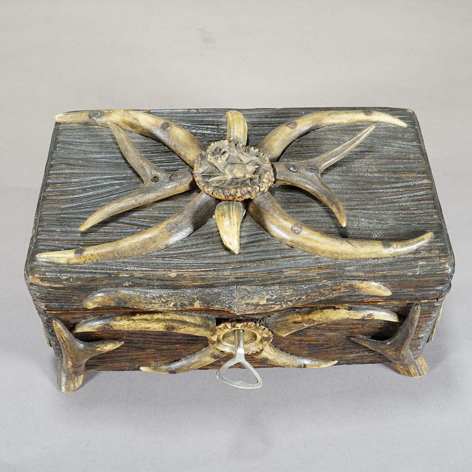 Antique Black Forest Casket with Antlers Decoration circa 1900s In Good Condition In Berghuelen, DE