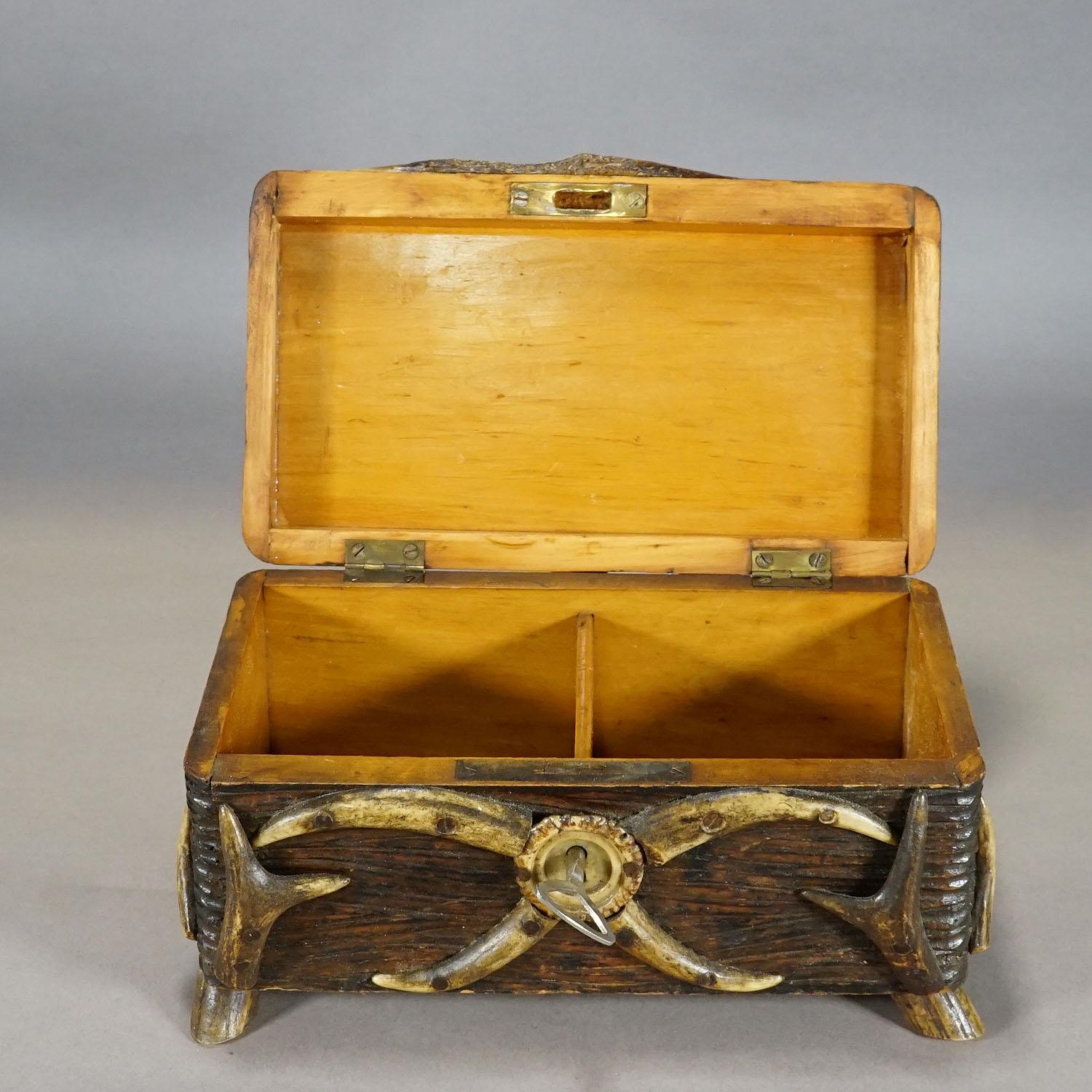 Antique Black Forest Casket with Antlers Decoration circa 1900s 1