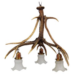 Antike Black Forest Deckenlampe mit Hirschgeweih