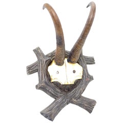 Antique Black Forest Chamois Antler Trophy on Wood Carved Plaque, German, 1900s