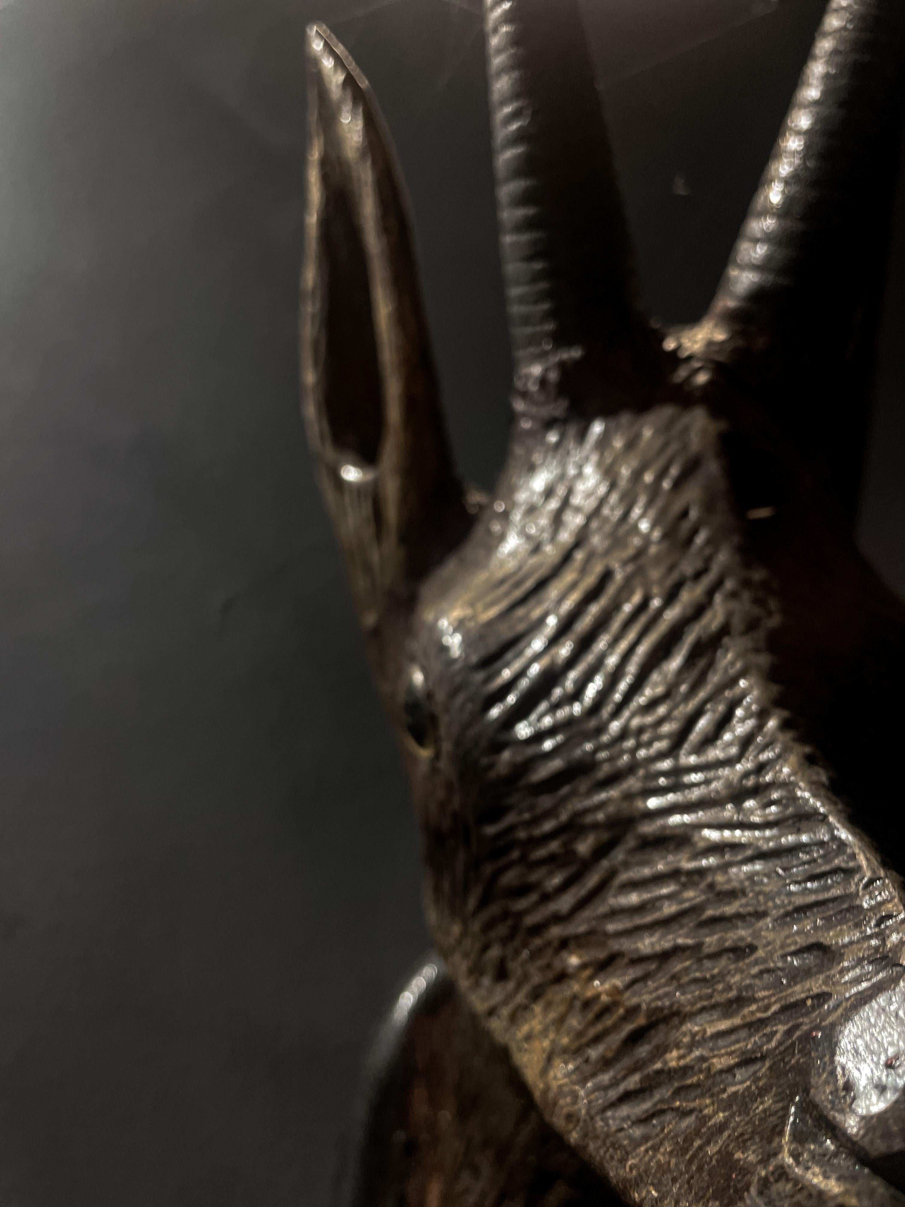 19th Century Antique Black Forest Chamois Carved Wood Head - 1800s Germany For Sale