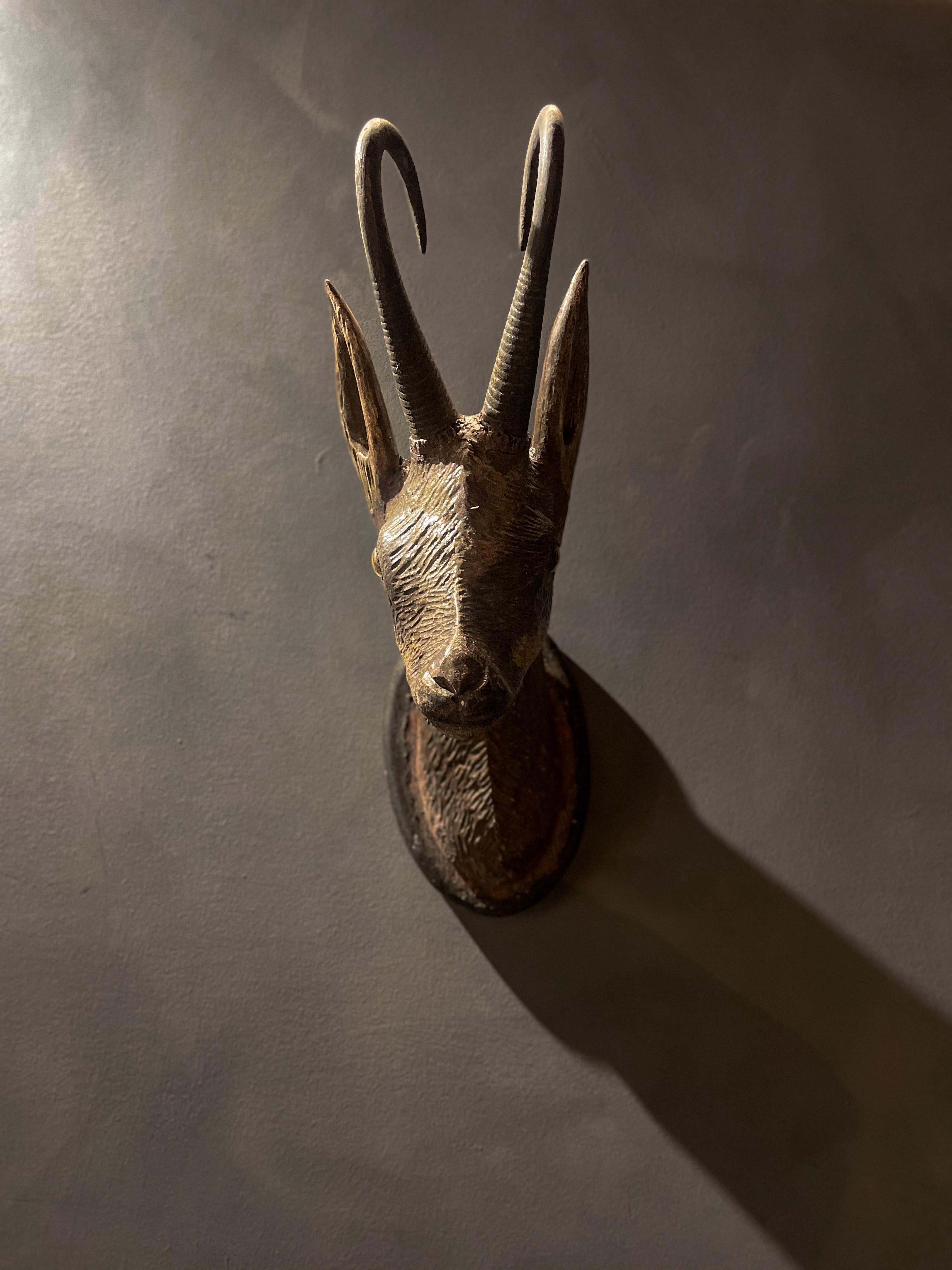 Antique Black Forest Chamois Carved Wood Head - 1800s Germany For Sale 2