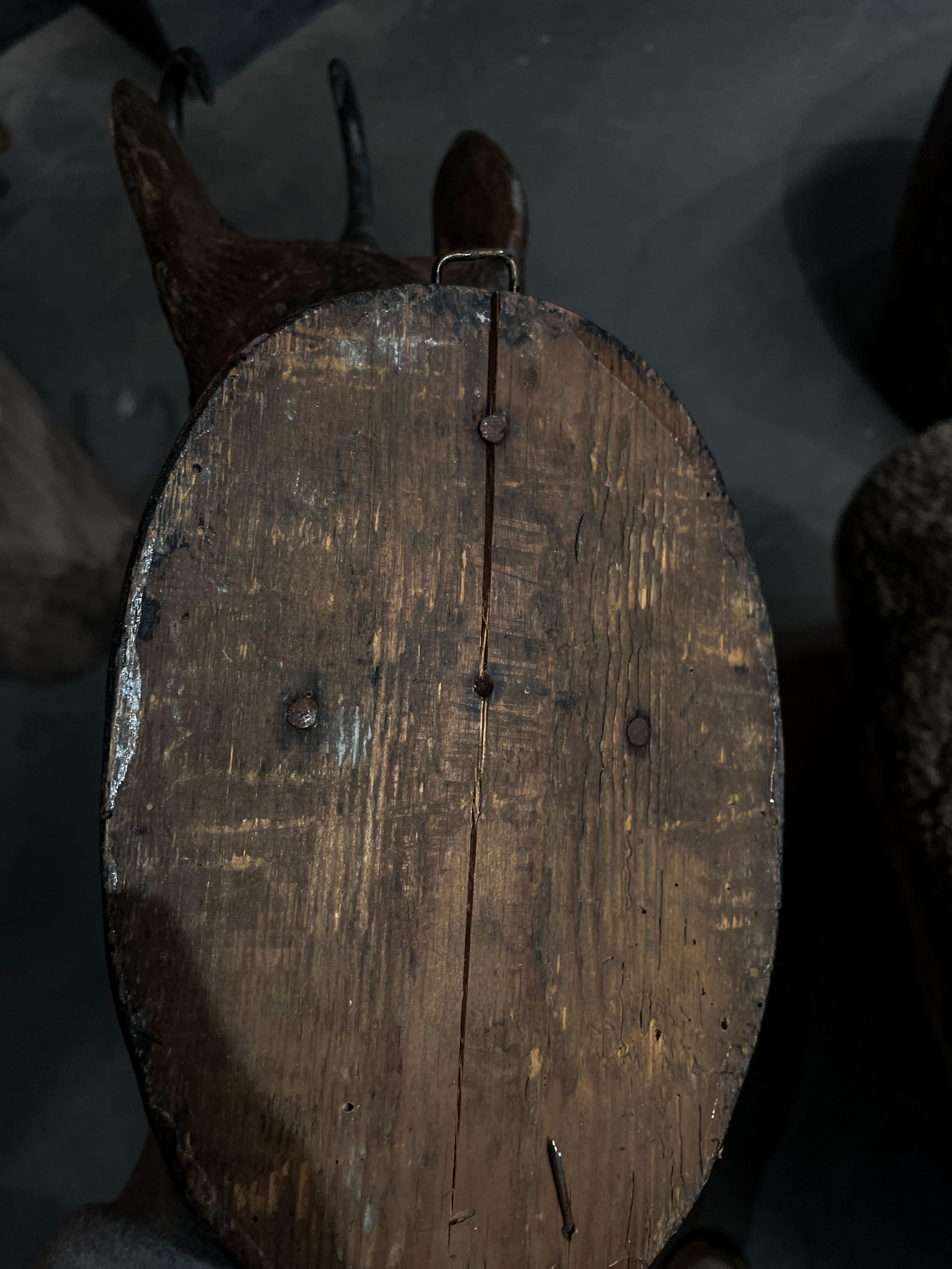 Antique Black Forest Chamois Carved Wood Head - 1800s Germany For Sale 5