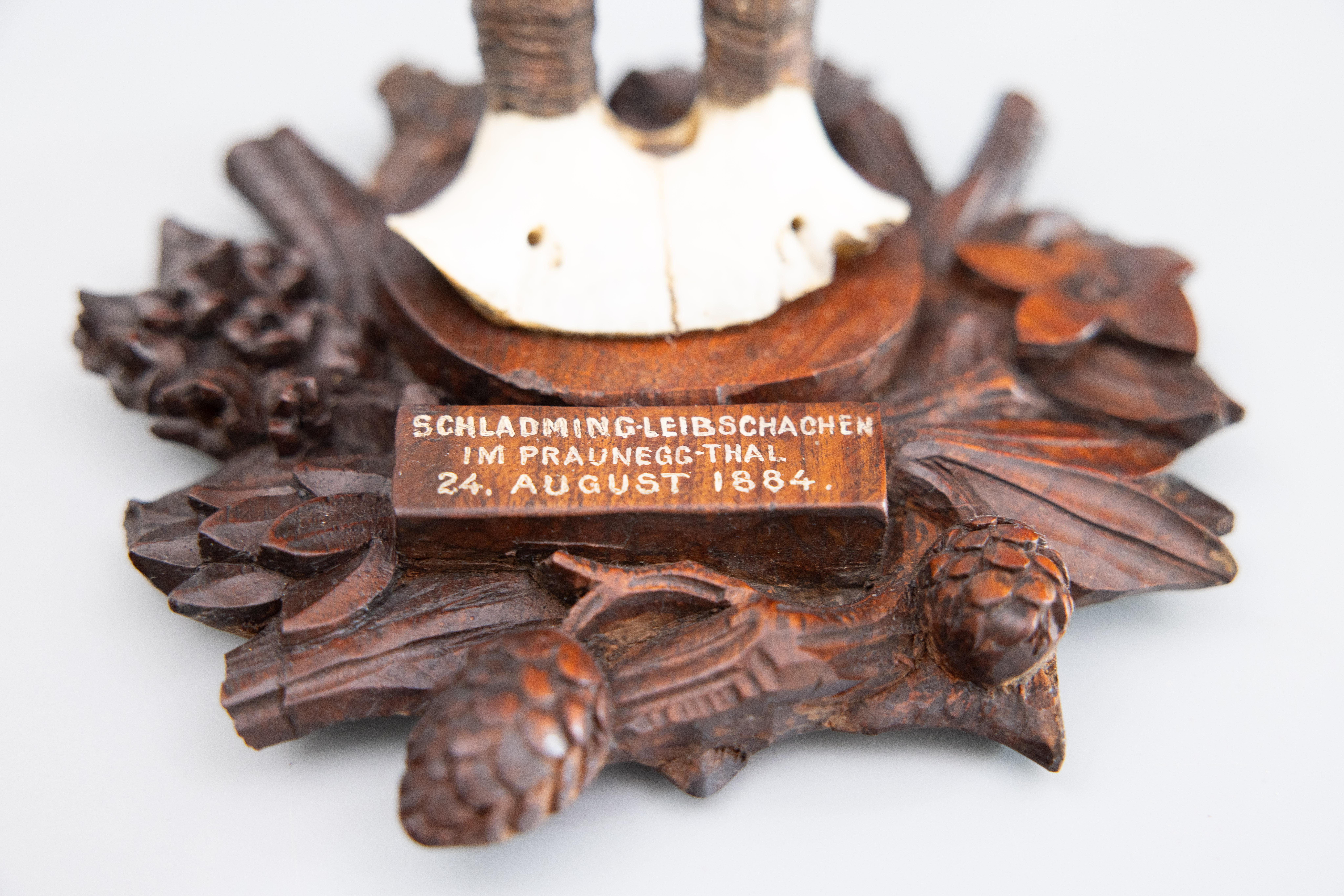 Allemand Antique trophée de chasse en cornes de la Forêt-Noire de Chamois monté en 1884 en vente