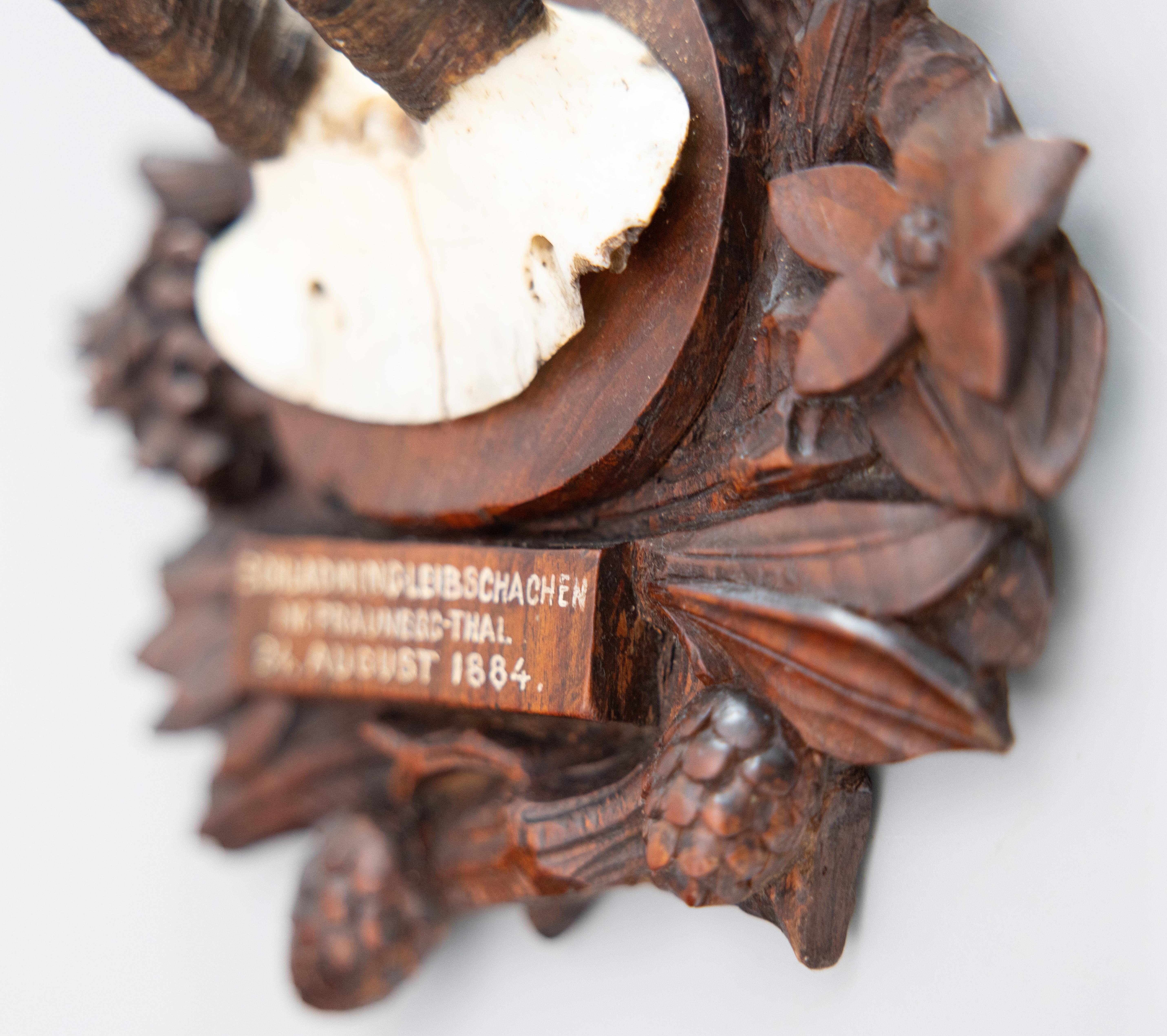 XIXe siècle Antique trophée de chasse en cornes de la Forêt-Noire de Chamois monté en 1884 en vente