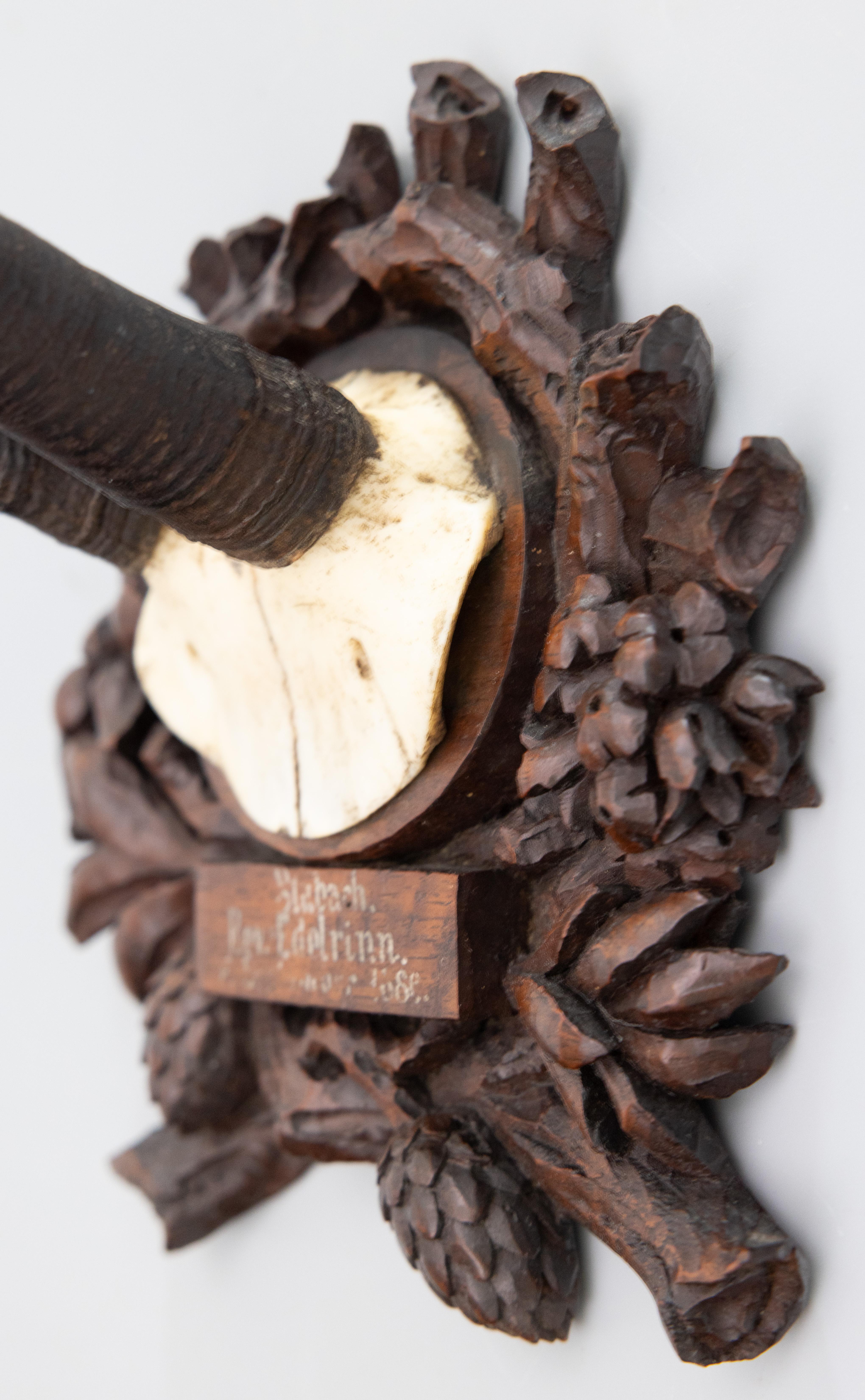 XIXe siècle Antique trophée de chasse en cornes de la Forêt-Noire de Chamois monté en 1886 en vente
