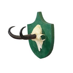 Trofeo antiguo de gamuza de la Selva Negra sobre placa verde - Salem, Alemania, 1900
