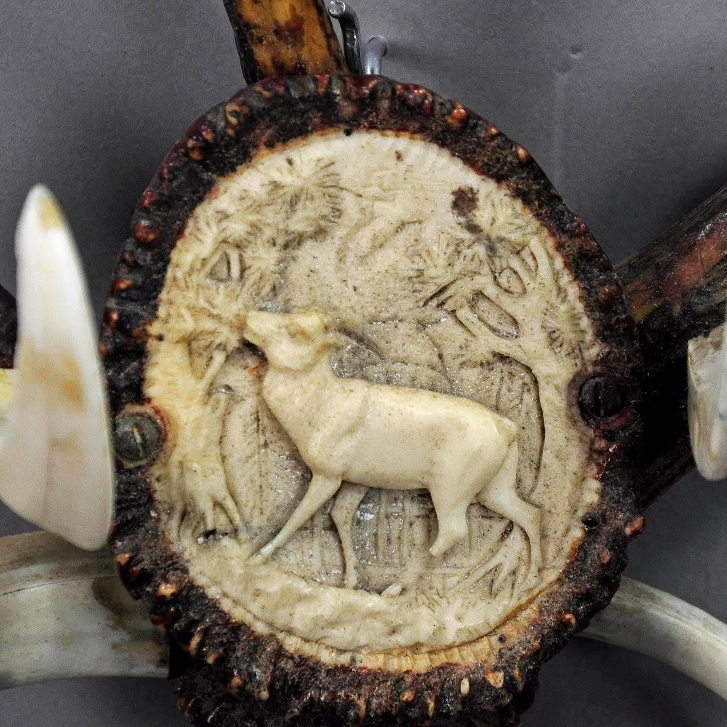 German Antique Black Forest Coat Hook with Carved Antler Rose and Wild Boar Tusks
