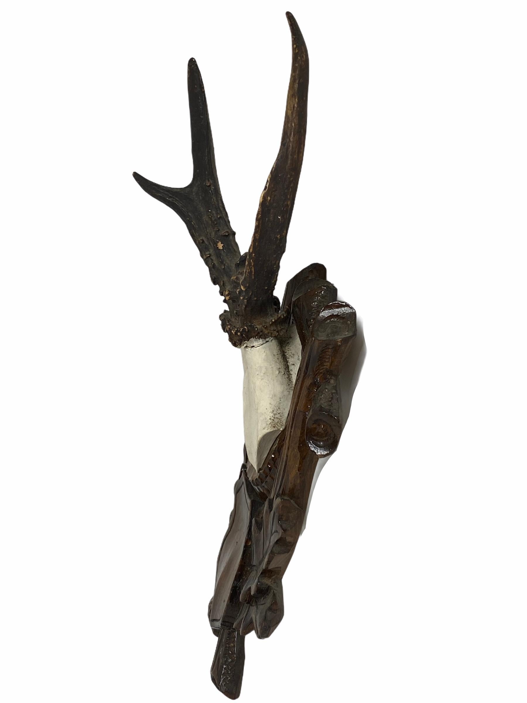 A beautiful antique Black Forest deer antler trophy on hand carved, Black Forest wooden plaque. A nice addition to your hunters loge, Cabin or just to display it in your house. Found at an estate sale in Vienna, Austria.