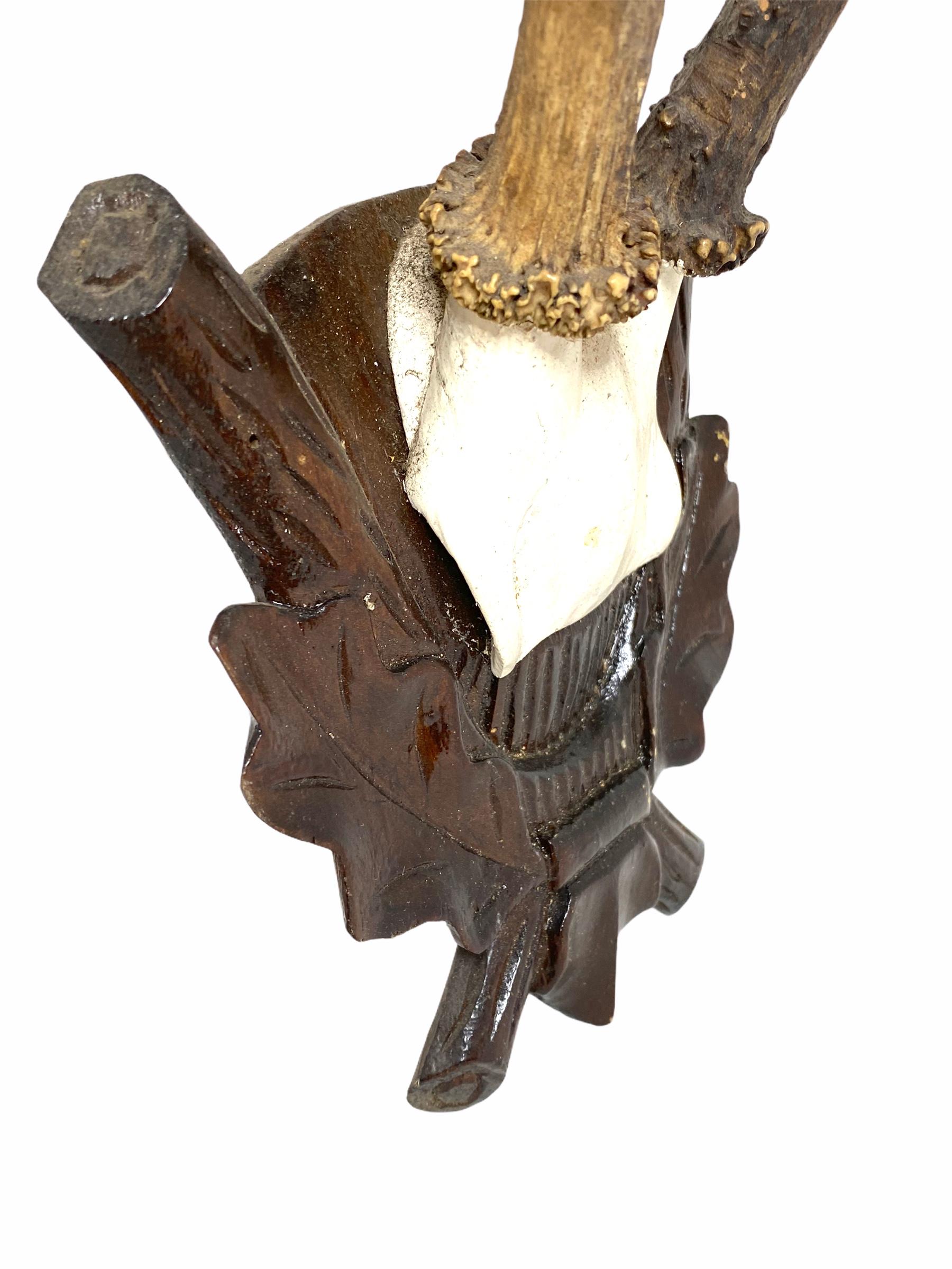 Antique Black Forest Deer Antler Trophy on Wood Carved Plaque, Austria, 1890s In Good Condition In Nuernberg, DE