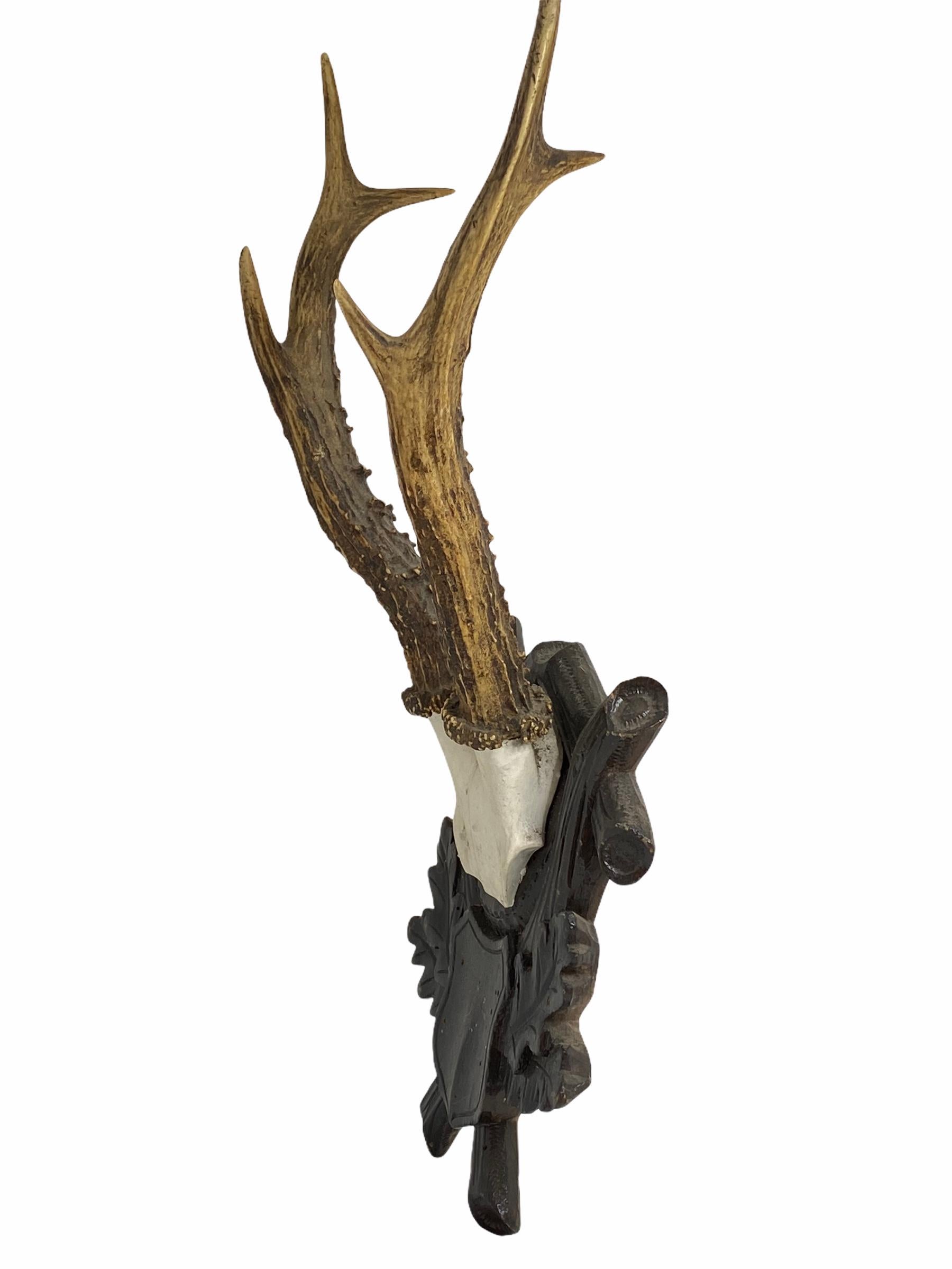 A beautiful antique Black Forest deer antler trophy on hand carved, Black Forest wooden plaque. A nice addition to your hunters loge, cabin or just to display it in your house. Found at an estate sale in Vienna, Austria.