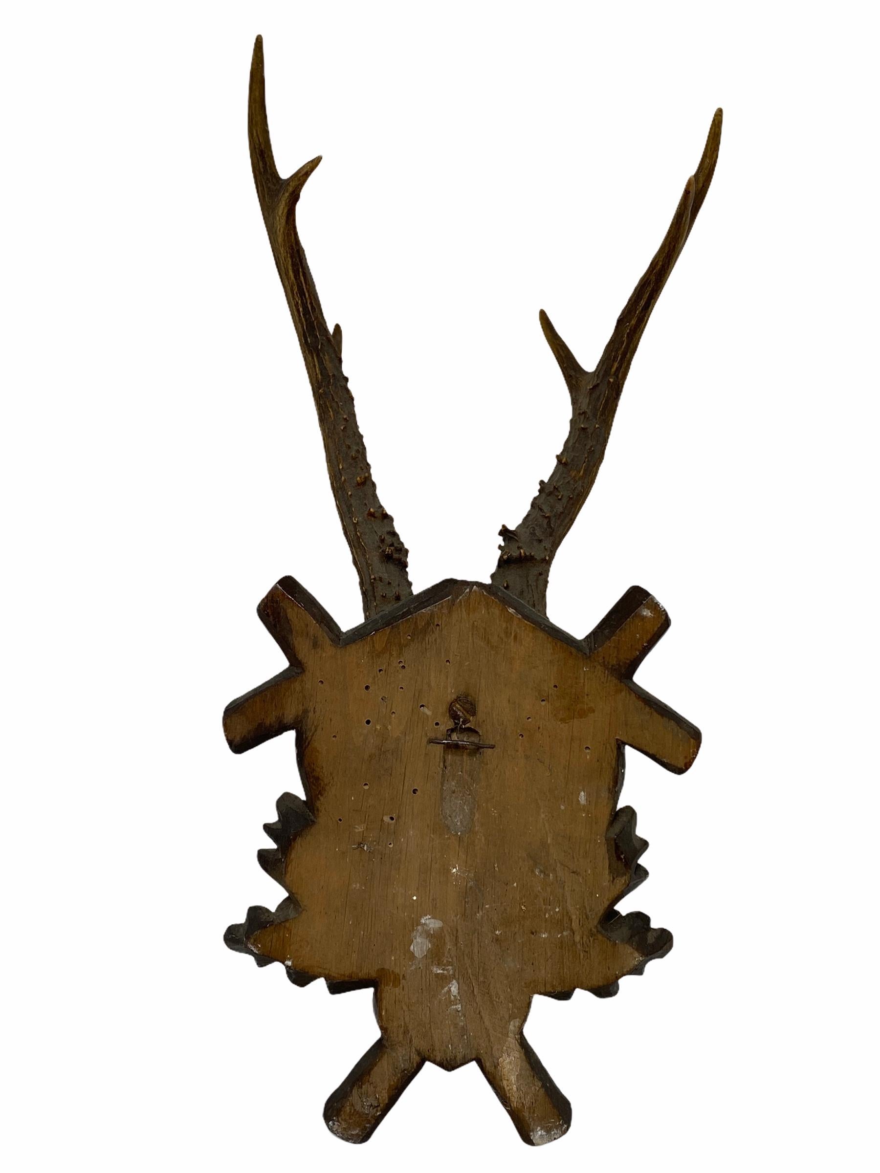 Antique Black Forest Deer Antler Trophy on Wood Carved Plaque, Austria, 1890s 2