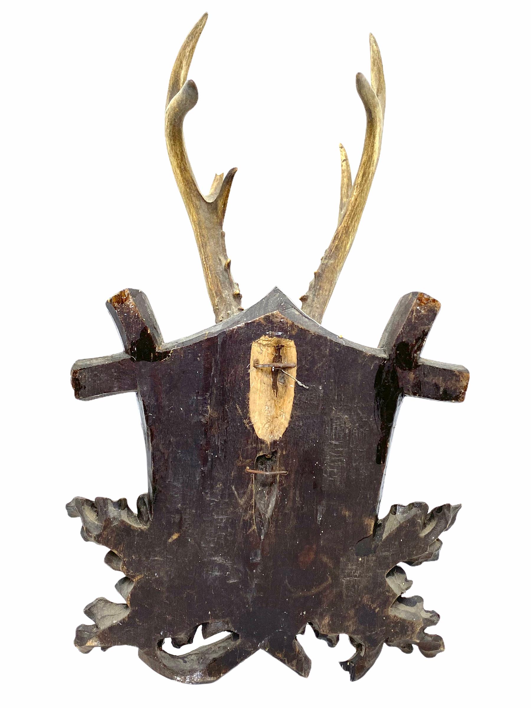 Antique Black Forest Deer Antler Trophy on Wood Carved Plaque, Austria, 1890s 2