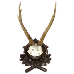 Antique Black Forest Deer Antler Trophy on Wood Carved Plaque, Austria, 1890s