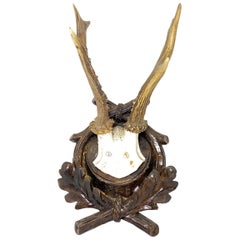 Antique Black Forest Deer Antler Trophy on Wood Carved Plaque, Austria, 1890s