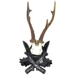 Antique Black Forest Deer Antler Trophy on Wood Carved Plaque, Austria, 1890s Antique Black Forest Deer Antler Trophy on Wood Carved Plaque, Austria, 1890s